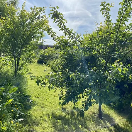 Fairhill Cottage Perfect Location With Garden In Central Ballycastle Exterior photo