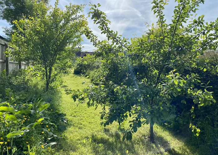 Fairhill Cottage Perfect Location With Garden In Central Ballycastle