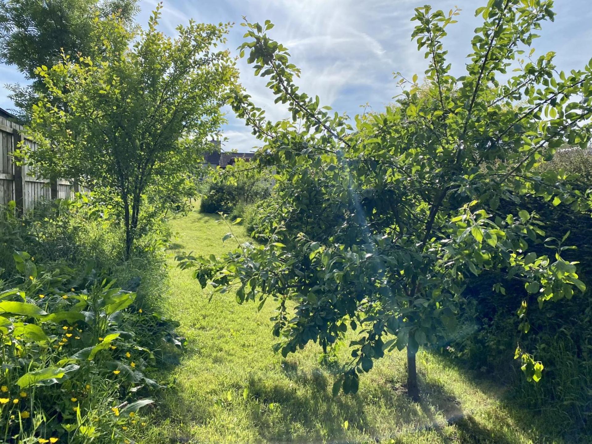 Fairhill Perfect Location With Garden In Holiday home